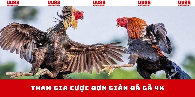 Tham gia cược siêu tốc và đơn giản trong 5 bước