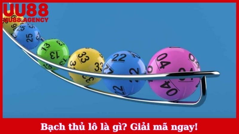 Bạch thủ lô là gì? Giải mã ngay!