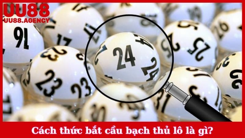 Cách thức bắt cầu bạch thủ lô là gì?
